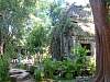 Ta Prohm